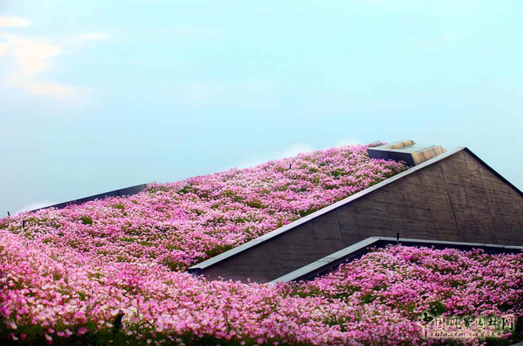 空中花海 國內 最大 屋頂花園 巨人網絡總部 中國風景園林網