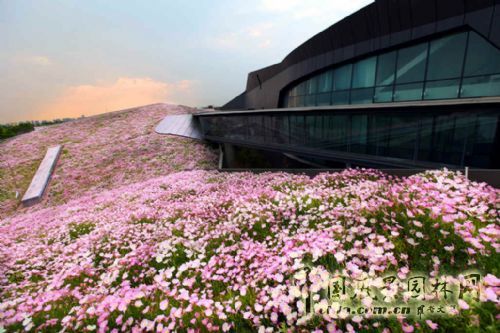 空中花海 國內 最大 屋頂花園 巨人網絡總部 中國風景園林網