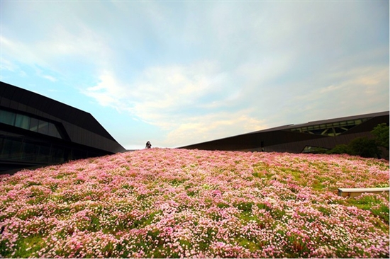 空中花海 國內 最大 屋頂花園 巨人網絡總部 中國風景園林網