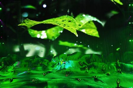 北林校慶