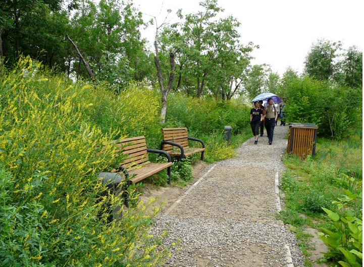 連載 劉秀晨 綠色的云 點評奧林匹克森林公園 中國風景園林網(wǎng)