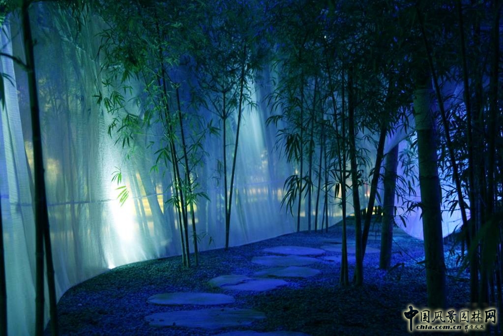 心靈的花園