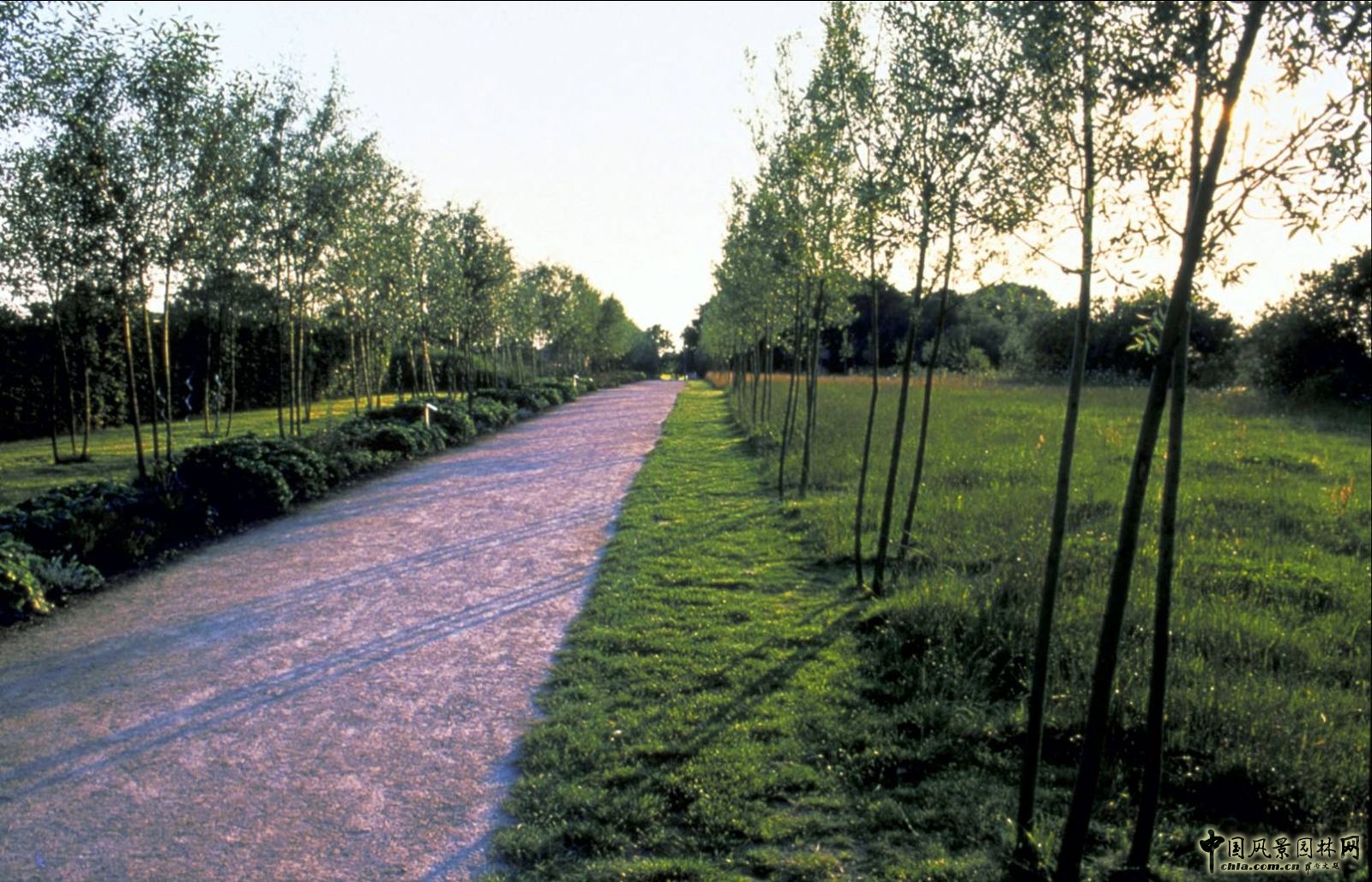 魔水公園