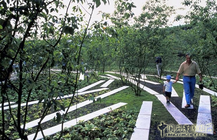 魔水公園