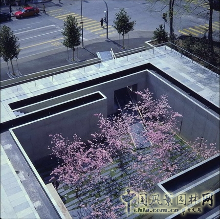 基金會(huì)景觀