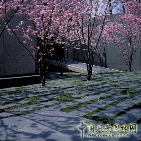 基金會(huì)景觀