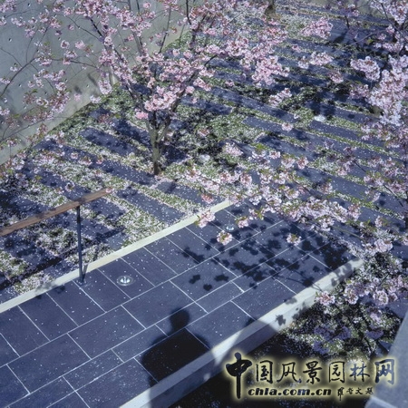 基金會(huì)景觀