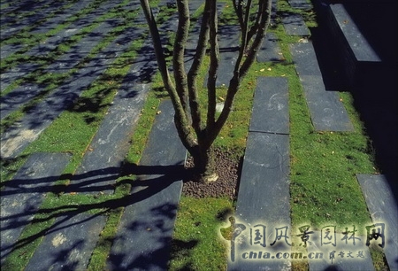 基金會景觀