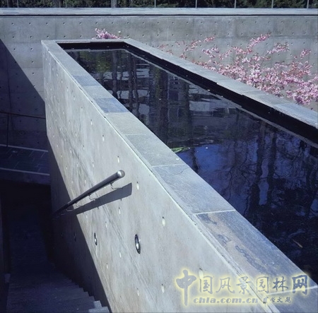 基金會景觀
