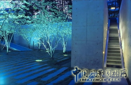 基金會景觀