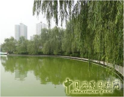 豐慶公園
