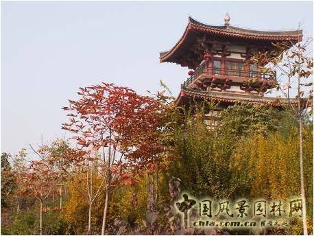 豐慶公園