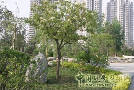 豐慶公園