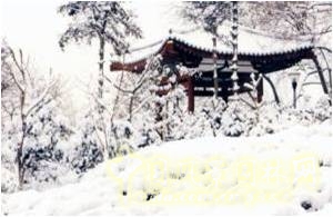 豐慶公園