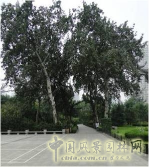 豐慶公園