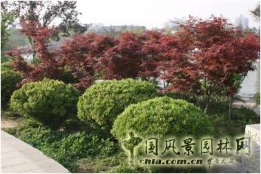 豐慶公園