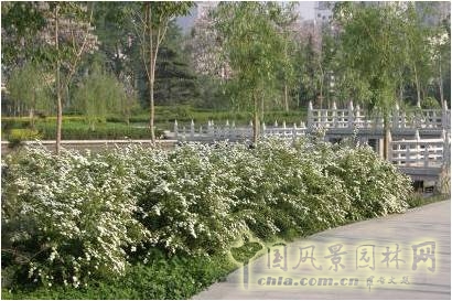 豐慶公園