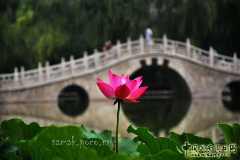 豐慶公園