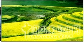 西安