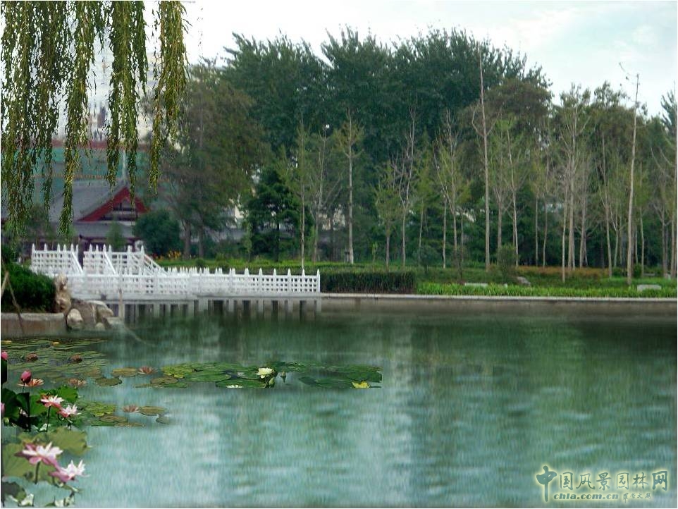 豐慶公園建設(shè)