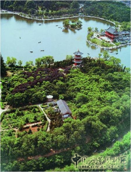 興慶宮公園