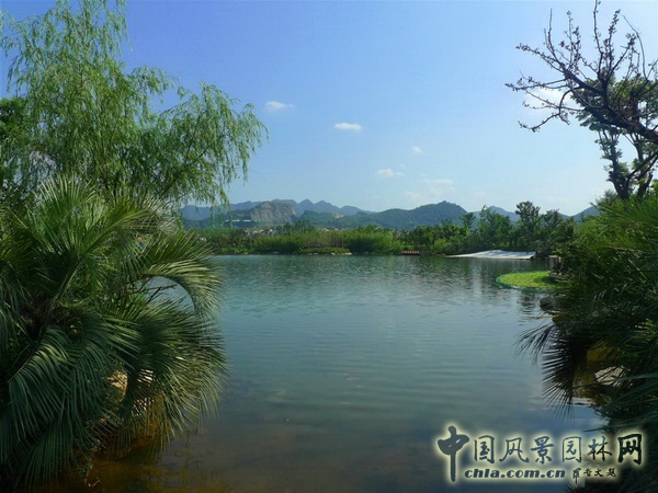 風景園林師論壇 居住區景觀 張文英 中國風景園林網