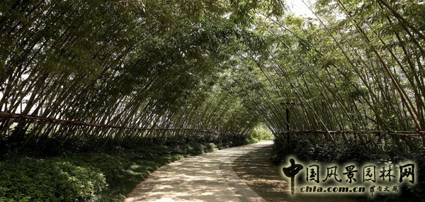 風(fēng)景園林師論壇 居住區(qū)景觀 張文英 中國風(fēng)景園林網(wǎng)