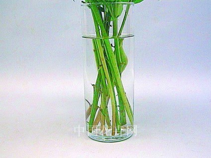 使用保鮮劑抑制菌