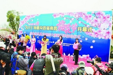 江西鳳凰溝景首屆南昌梅花節 插花藝術|綠化 中國風景園林網