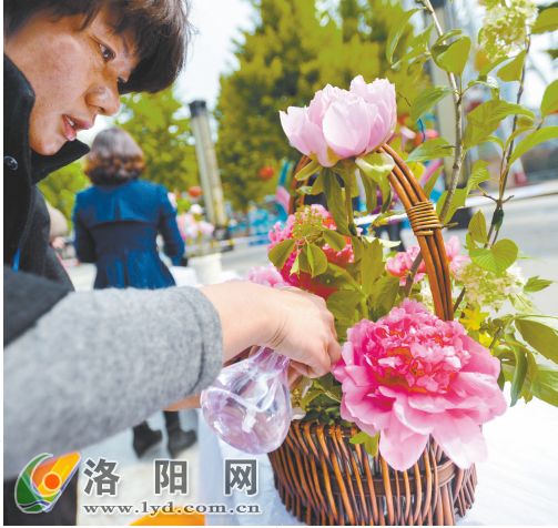 牡丹插花藝術大賽