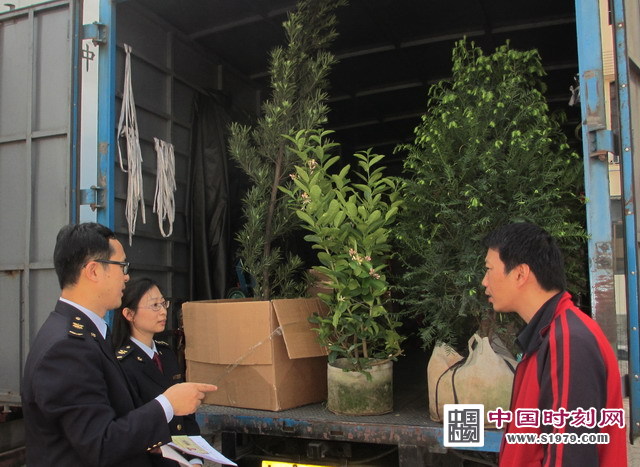 法制