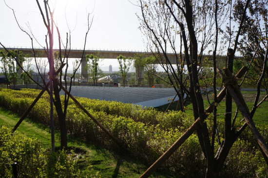 三谷徹花園