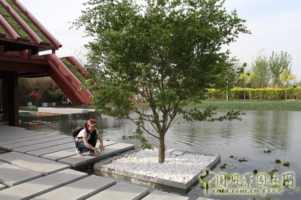 北京園博園 武漢園 旅游 景觀設計 公園 中國風景園林網