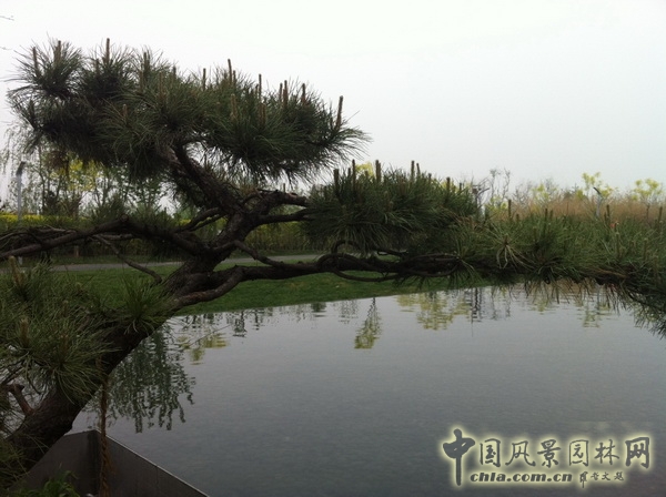 北京園博園 武漢園 旅游 景觀設計 公園 中國風景園林網