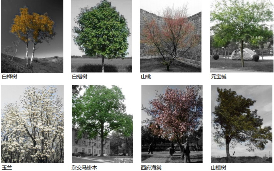 園博會(huì)作品朱育帆流水印