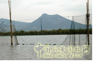場地狀況