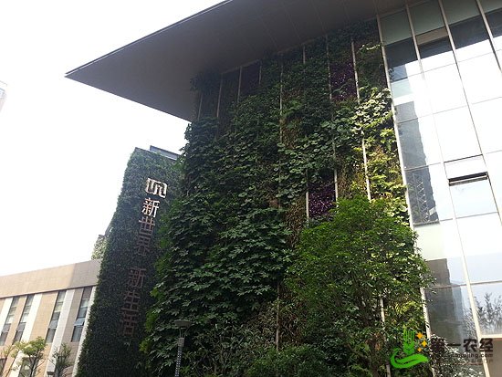 植物墻