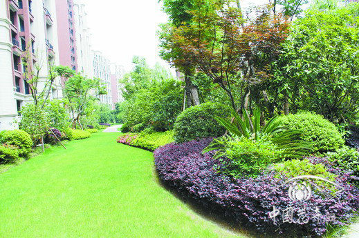 植物組團不露腳，層次分明