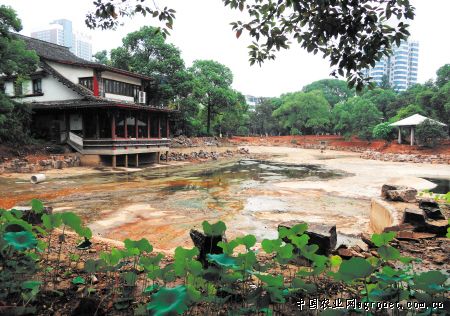 曉月公園