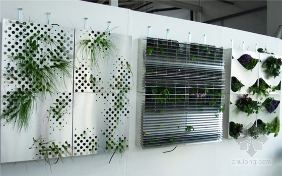 植物墻