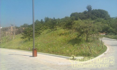 北京谷泉會議中心 上海園林 綠化工程 園林綠化