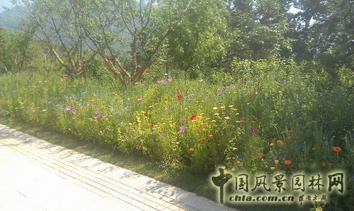 北京谷泉會議中心 上海園林 綠化工程 園林綠化