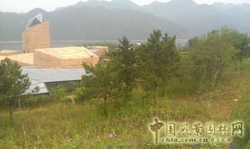 北京谷泉會議中心 上海園林 綠化工程 園林綠化