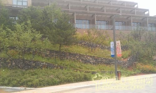 北京谷泉會(huì)議中心 上海園林 綠化工程 園林綠化
