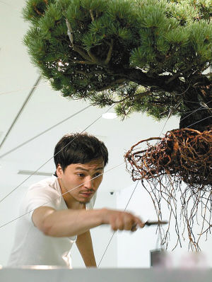 日本植物雕塑