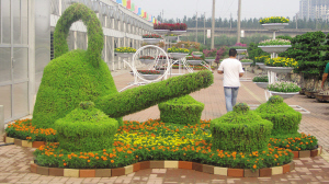 立體景觀