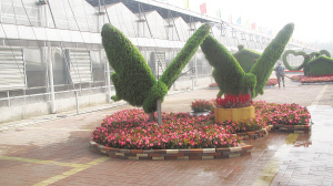 立體景觀