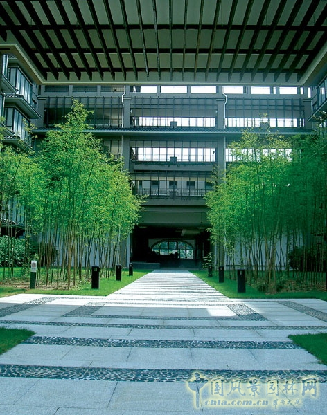 深圳平安金融大學 景觀設計 何小強 設計師 中國風景園林網