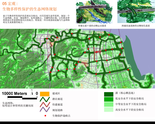反規(guī)劃 生態(tài)基礎(chǔ) 城市空間 城市規(guī)劃 臺州