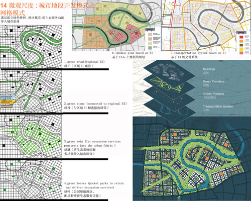 反規劃 生態基礎 城市空間 城市規劃 臺州